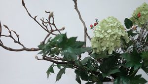 Preview wallpaper flowers, bouquet, vase, aesthetics, composition