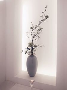 Preview wallpaper flowers, bouquet, vase, light, white