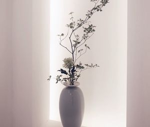 Preview wallpaper flowers, bouquet, vase, light, white