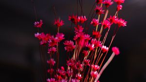 Preview wallpaper flowers, bouquet, vase, pink