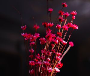 Preview wallpaper flowers, bouquet, vase, pink
