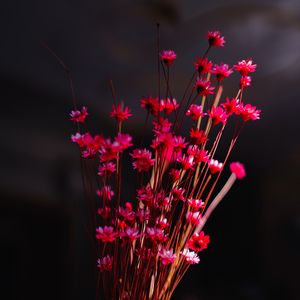 Preview wallpaper flowers, bouquet, vase, pink