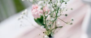 Preview wallpaper flowers, bouquet, vase, aesthetics, light