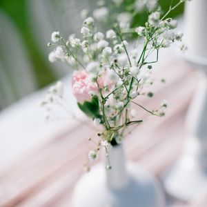 Preview wallpaper flowers, bouquet, vase, aesthetics, light
