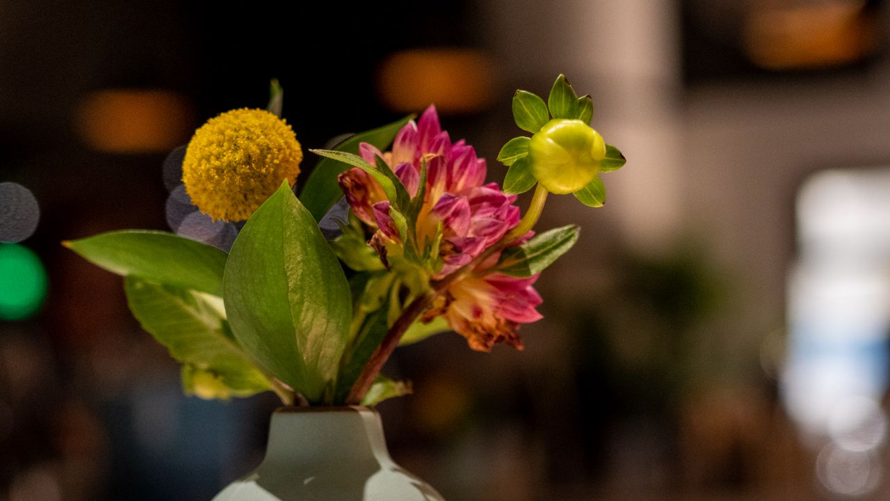 Wallpaper flowers, bouquet, vase, candle, aesthetics