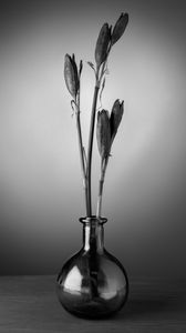 Preview wallpaper flowers, bouquet, vase, black and white