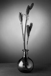 Preview wallpaper flowers, bouquet, vase, black and white