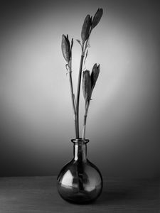 Preview wallpaper flowers, bouquet, vase, black and white