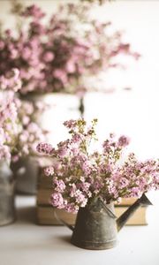 Preview wallpaper flowers, bouquet, watering can, aesthetics