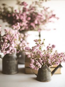 Preview wallpaper flowers, bouquet, watering can, aesthetics