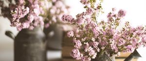 Preview wallpaper flowers, bouquet, watering can, aesthetics