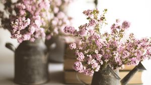 Preview wallpaper flowers, bouquet, watering can, aesthetics