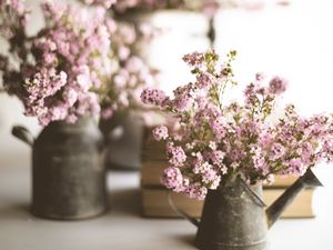 Preview wallpaper flowers, bouquet, watering can, aesthetics