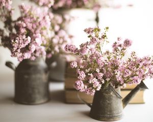 Preview wallpaper flowers, bouquet, watering can, aesthetics