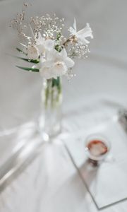 Preview wallpaper flowers, bouquet, white, light