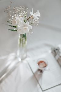 Preview wallpaper flowers, bouquet, white, light