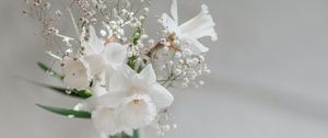 Preview wallpaper flowers, bouquet, white, light
