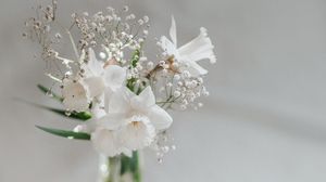 Preview wallpaper flowers, bouquet, white, light