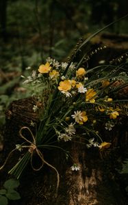 Preview wallpaper flowers, bouquet, wildflowers, forest, stump