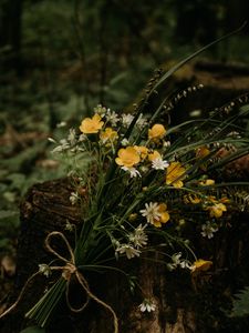 Preview wallpaper flowers, bouquet, wildflowers, forest, stump