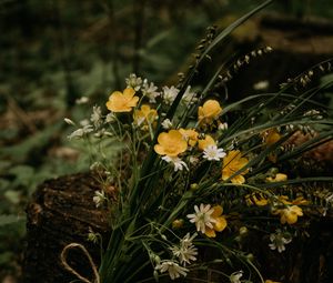 Preview wallpaper flowers, bouquet, wildflowers, forest, stump