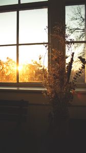 Preview wallpaper flowers, bouquet, window, sunset, dark