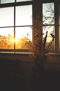 Preview wallpaper flowers, bouquet, window, sunset, dark