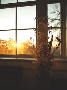 Preview wallpaper flowers, bouquet, window, sunset, dark