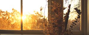 Preview wallpaper flowers, bouquet, window, sunset, dark