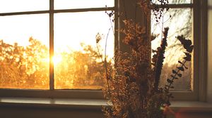 Preview wallpaper flowers, bouquet, window, sunset, dark