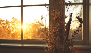 Preview wallpaper flowers, bouquet, window, sunset, dark