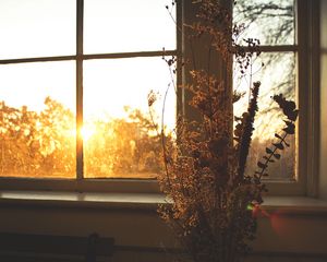 Preview wallpaper flowers, bouquet, window, sunset, dark
