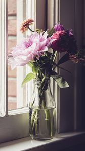 Preview wallpaper flowers, bouquet, window, vase