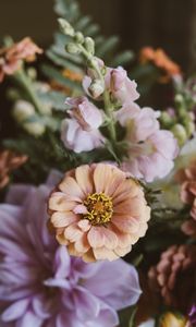 Preview wallpaper flowers, bouquet, zinnia, blur