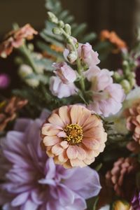 Preview wallpaper flowers, bouquet, zinnia, blur