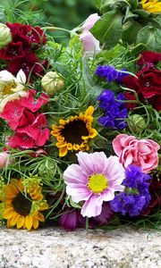 Preview wallpaper flowers, bouquets, colorful, summer, mood