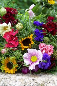 Preview wallpaper flowers, bouquets, colorful, summer, mood