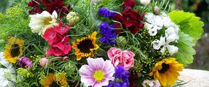 Preview wallpaper flowers, bouquets, colorful, summer, mood