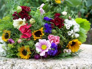 Preview wallpaper flowers, bouquets, colorful, summer, mood