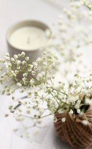 Preview wallpaper flowers, branches, basket, candle, white, aesthetics