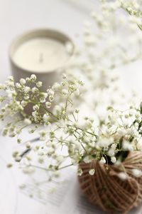 Preview wallpaper flowers, branches, basket, candle, white, aesthetics