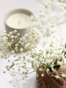 Preview wallpaper flowers, branches, basket, candle, white, aesthetics