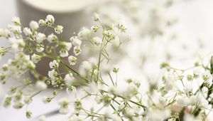 Preview wallpaper flowers, branches, basket, candle, white, aesthetics