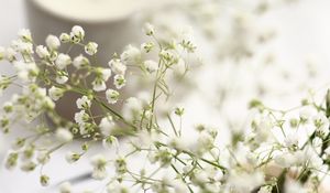 Preview wallpaper flowers, branches, basket, candle, white, aesthetics