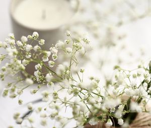 Preview wallpaper flowers, branches, basket, candle, white, aesthetics