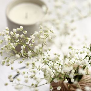 Preview wallpaper flowers, branches, basket, candle, white, aesthetics