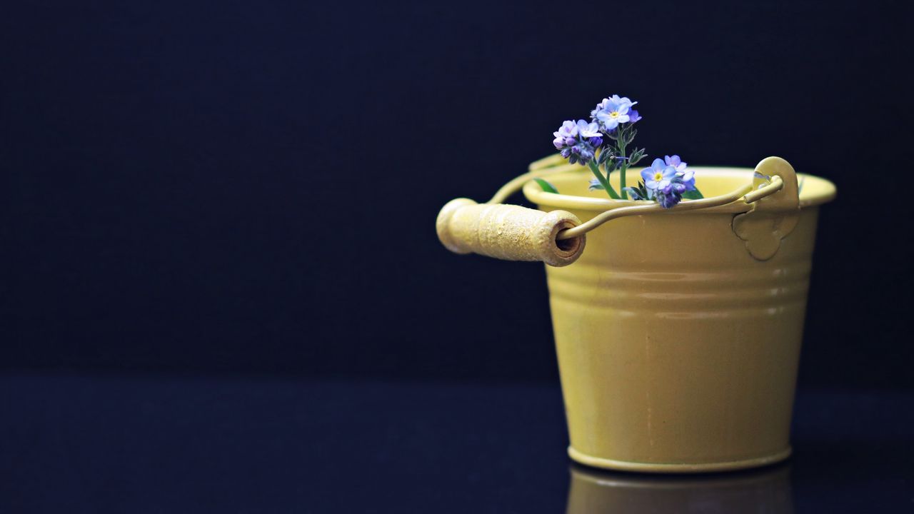 Wallpaper flowers, bucket, decorative
