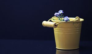 Preview wallpaper flowers, bucket, decorative