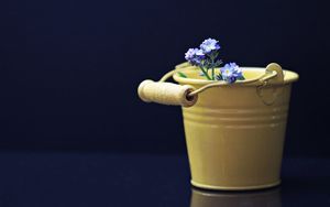 Preview wallpaper flowers, bucket, decorative