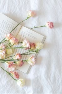 Preview wallpaper flowers, buds, book, aesthetics, light